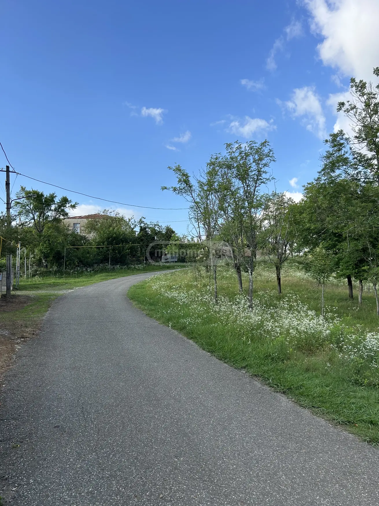 For Sale Ara Sasoplo-Sameurneo Land Plot Tsqaltuboshi view 6