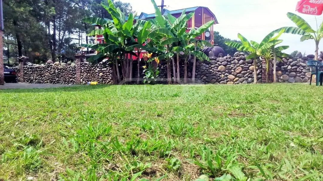 Daily Rent 3 Room Apartment Ozurgetis Munitsipalitetshi view 16