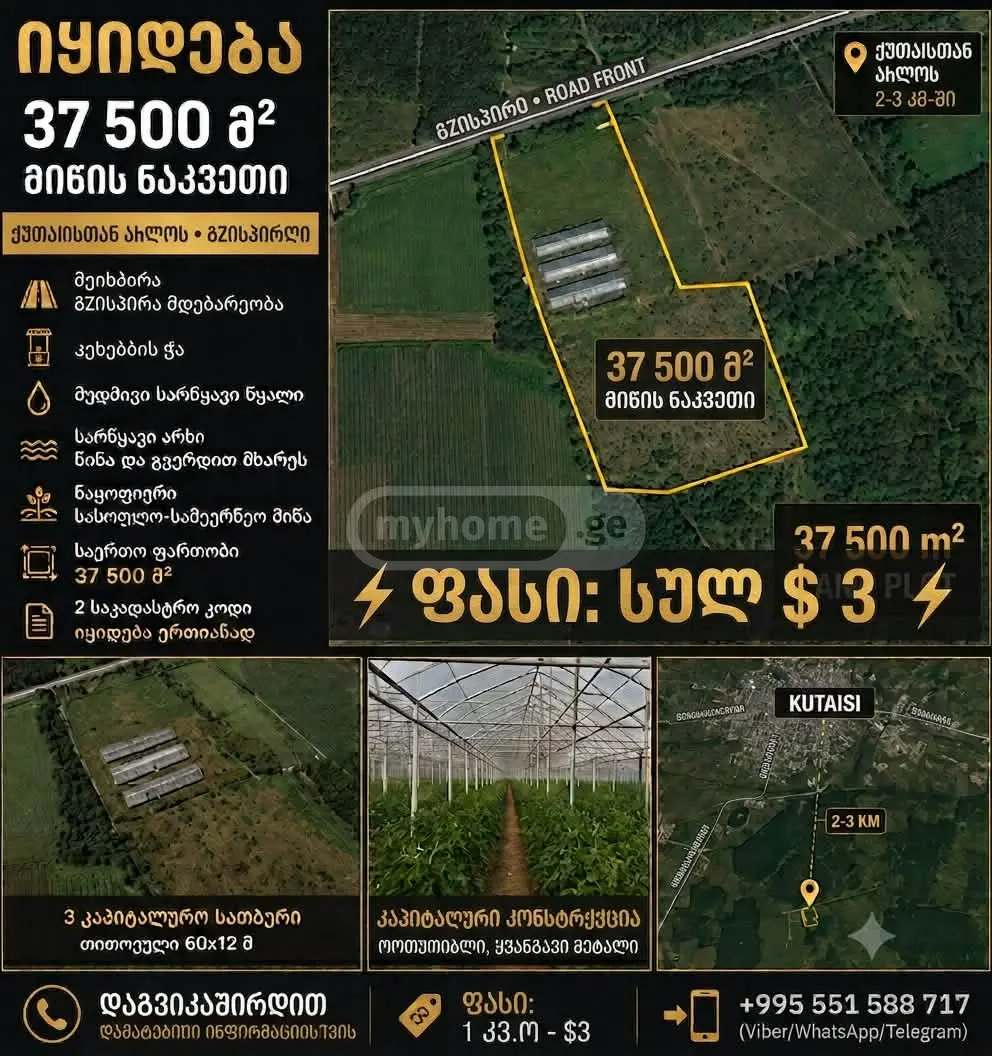 For Sale Sasoplo-Sameurneo Land Plot Kutaisshi view 1