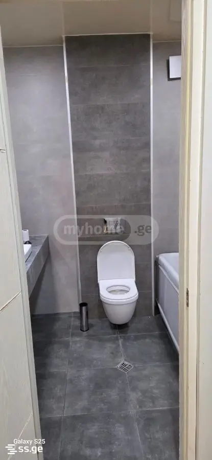 3 Room Flat For Rent. Varketili view 10