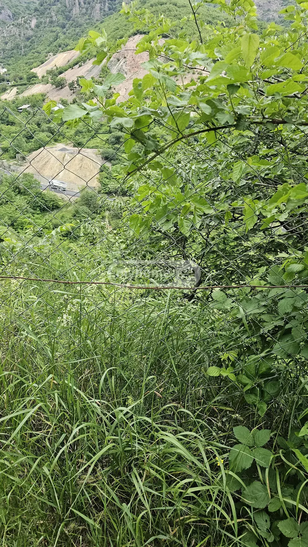For Sale Sainvestitsio Land Plot Tetritsqaroshi view 1