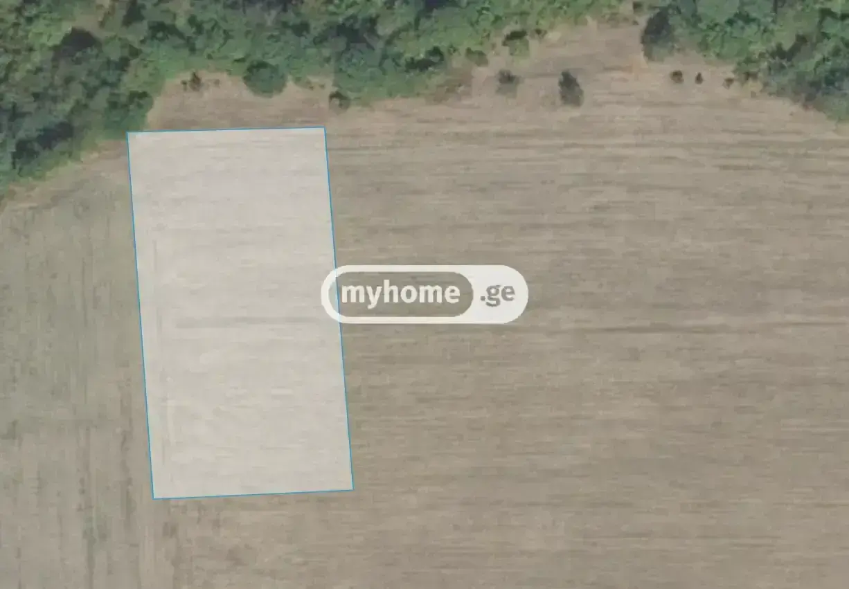 For Sale Sasoplo-Sameurneo Land Plot Tianetis Munitsipalitetshi view 6