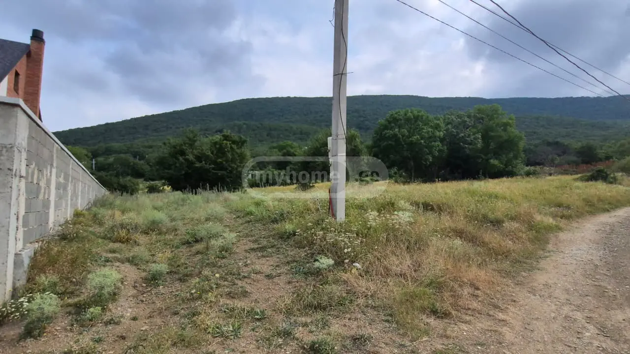 For Sale Sasoplo-Sameurneo Land Plot Mtskhetis Munitsipalitetshi view 8