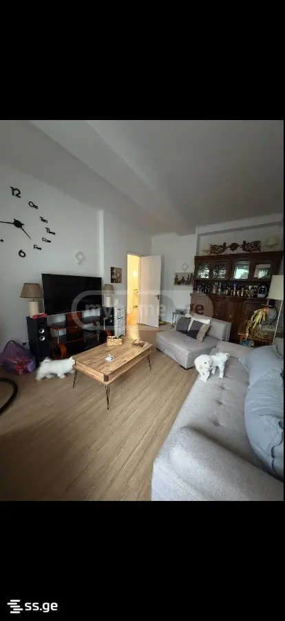 2 Room Flat For Rent. Samgori view 18