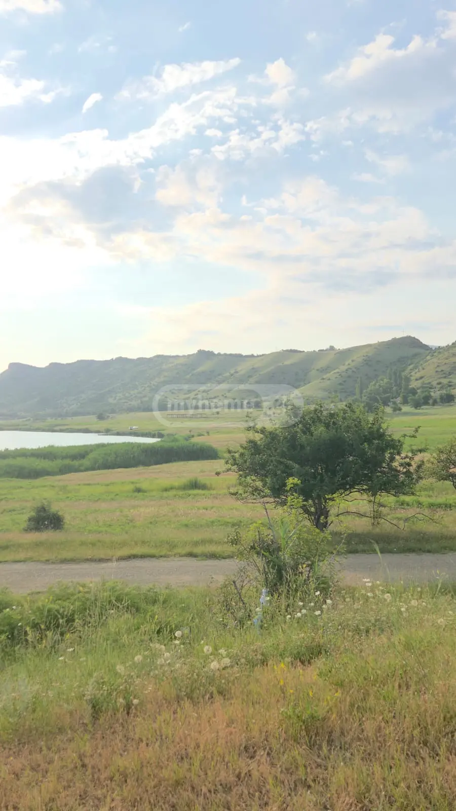 For Sale Sasoplo-Sameurneo Land Plot Sagarejos Munitsipalitetshi view 1