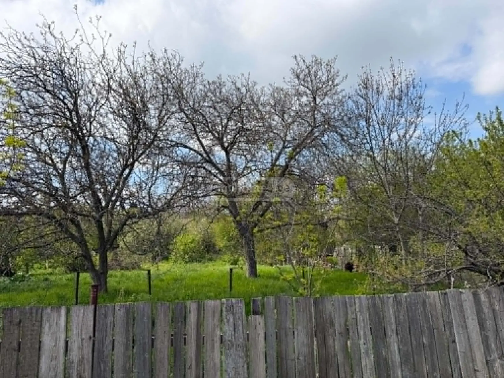 For Sale Sasoplo-Sameurneo Land Plot Shindisshi view 2