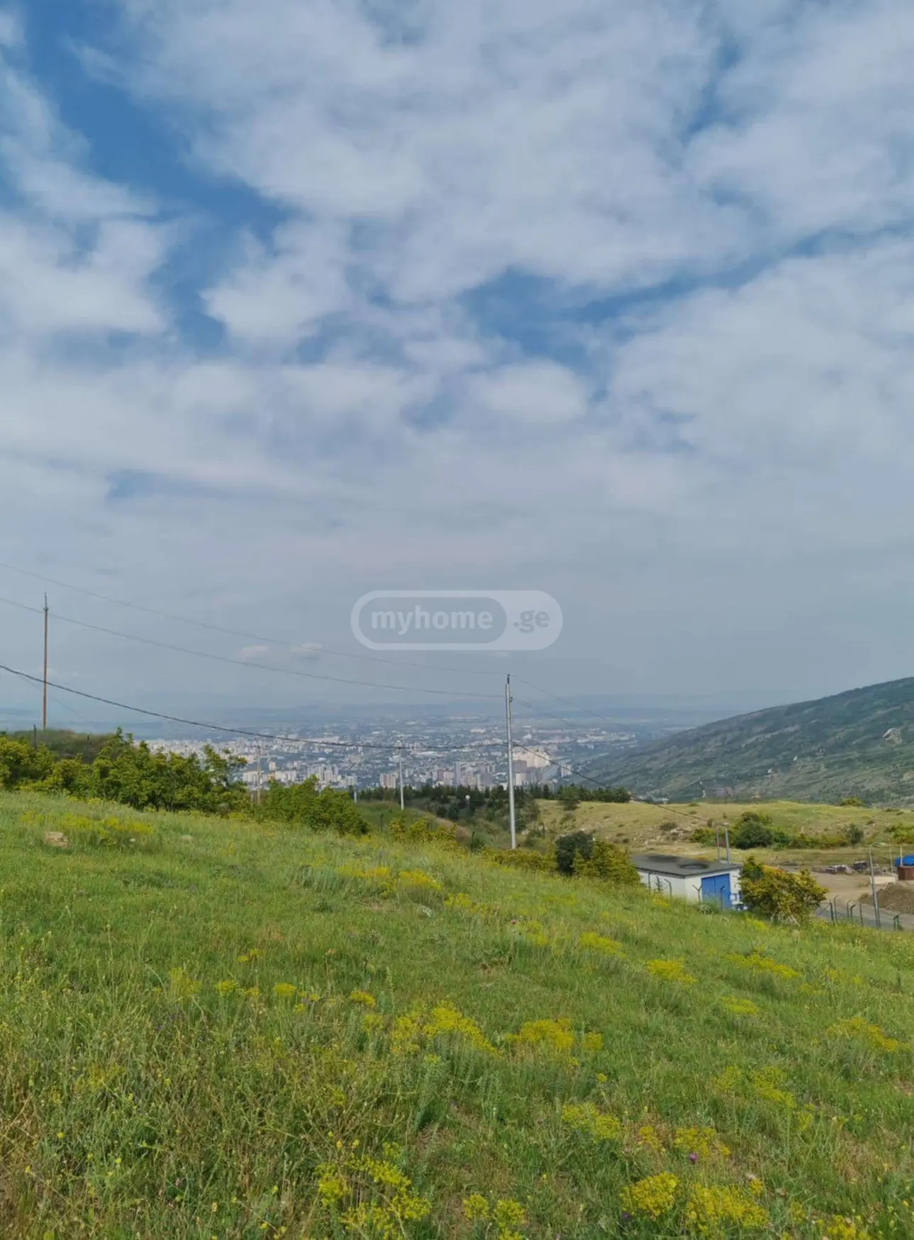 For Sale Sasoplo-Sameurneo Land Plot Shindisshi view 2