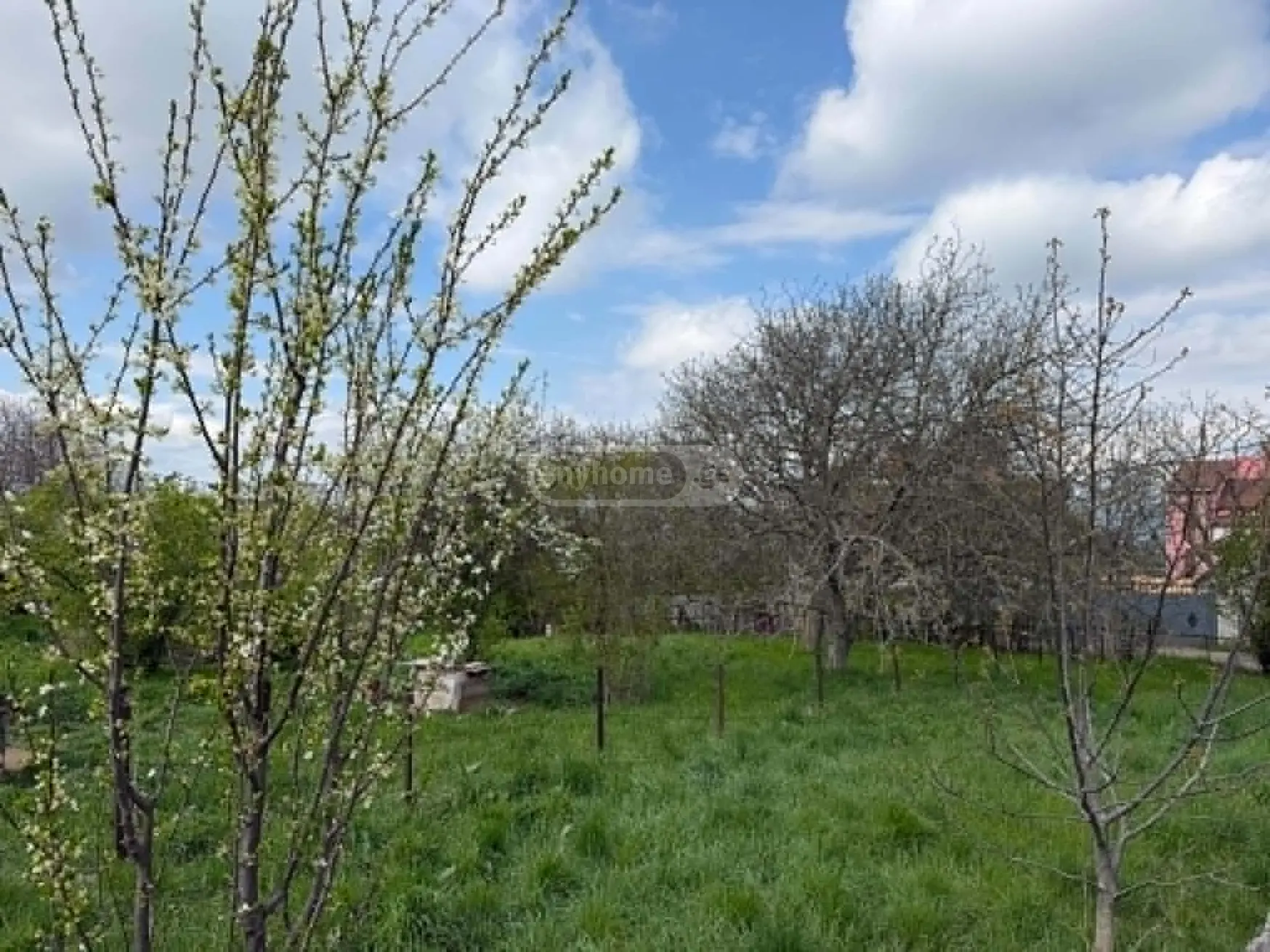 For Sale Sasoplo-Sameurneo Land Plot Shindisshi view 3