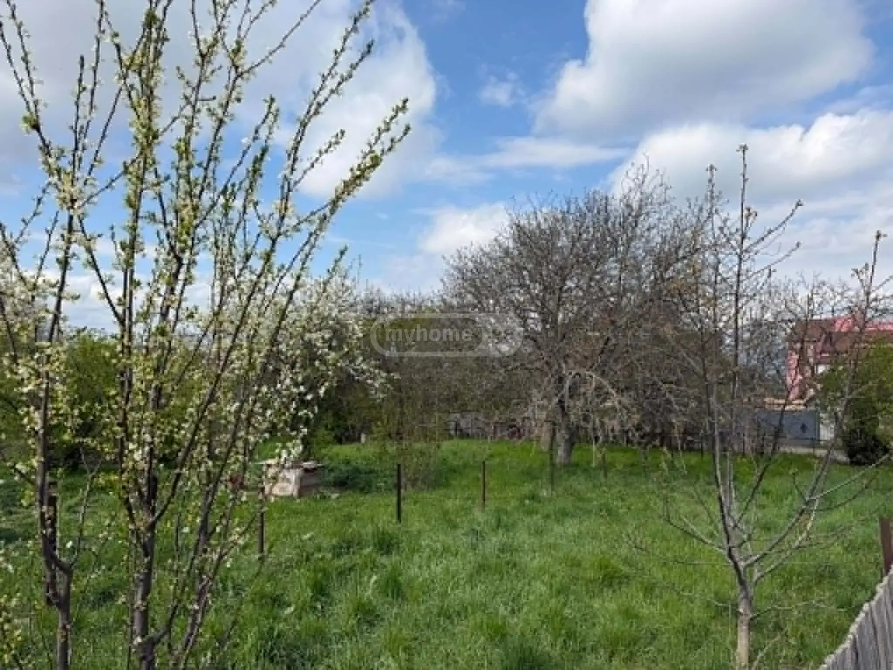 For Sale Sasoplo-Sameurneo Land Plot Shindisshi view 1