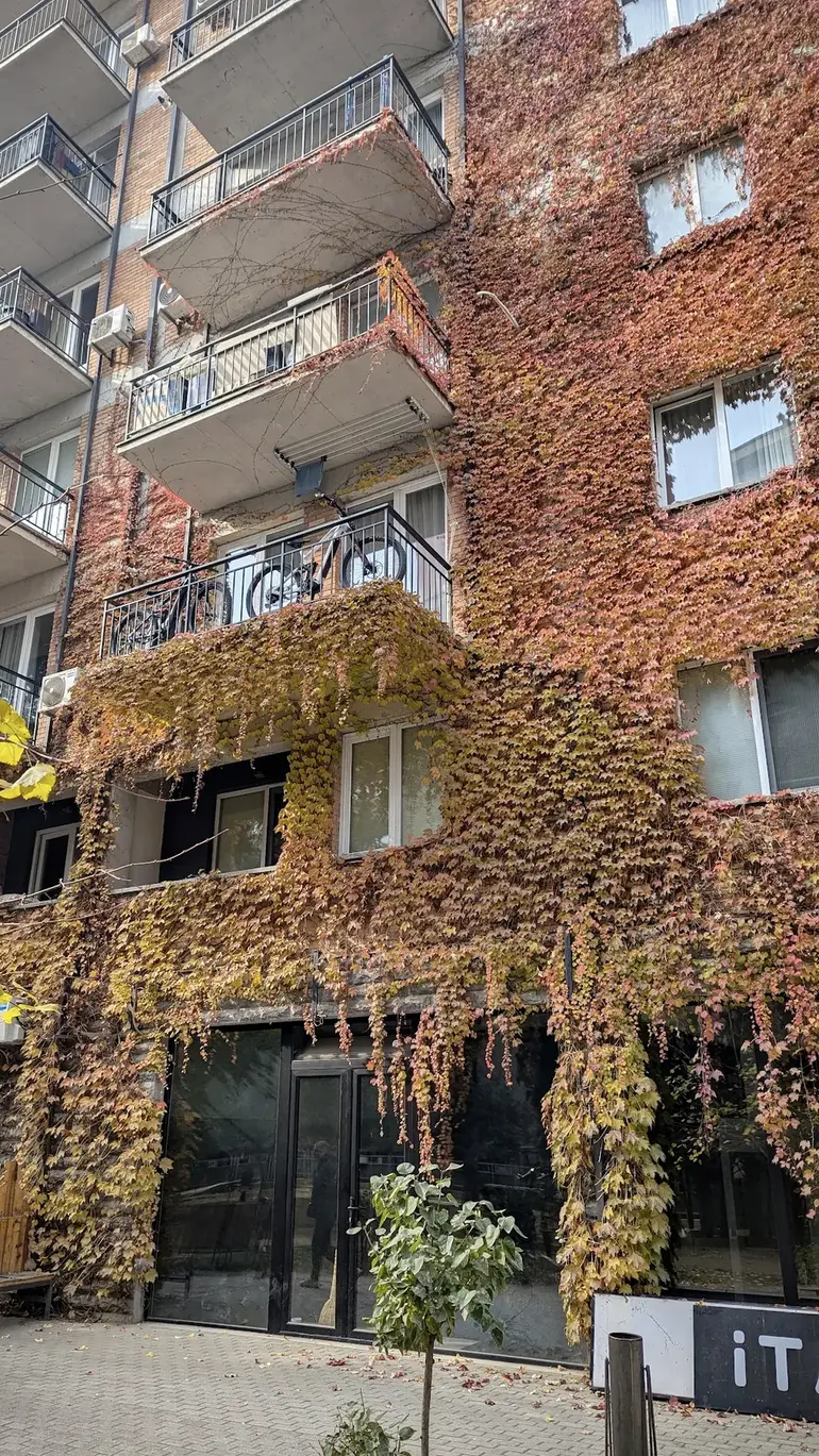 building