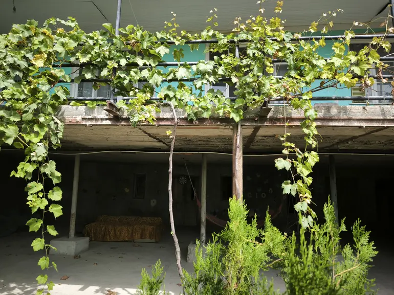 building