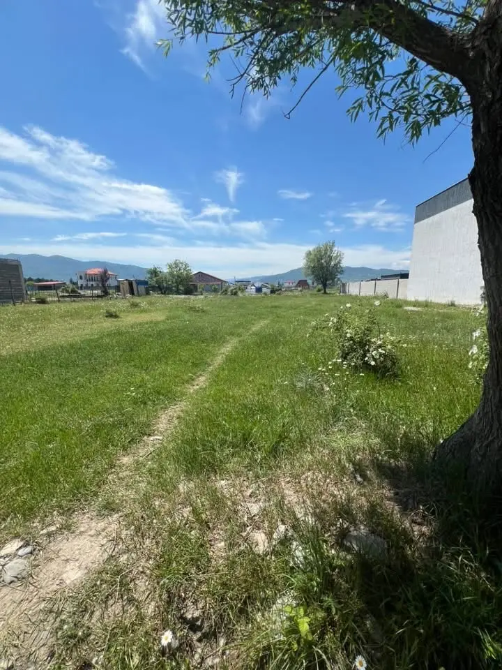 statment-img-0.3345055866475315