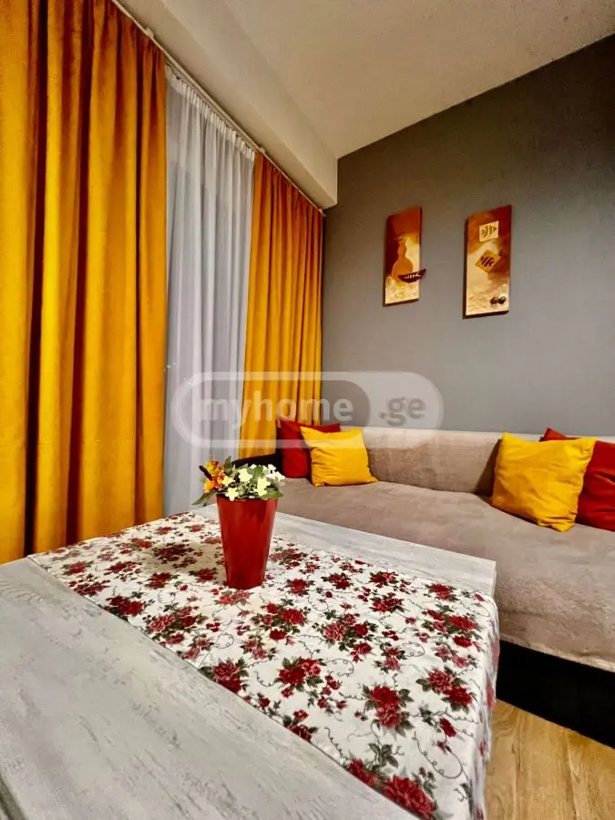 2 Room Flat Daily Rent. Saburtalo view 18