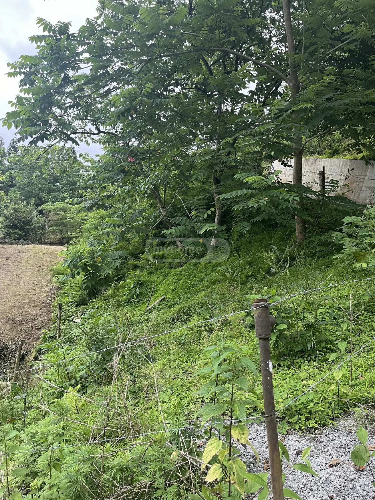 For Sale Sasoplo-Sameurneo Land Plot Khelvachauris Munitsipalitetshi view 8