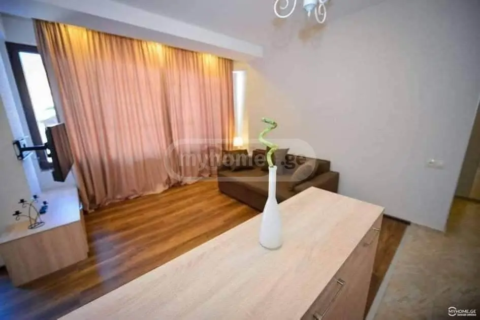 Daily Rent 2 Room Sastumro Bakurianshi, 4 of 8