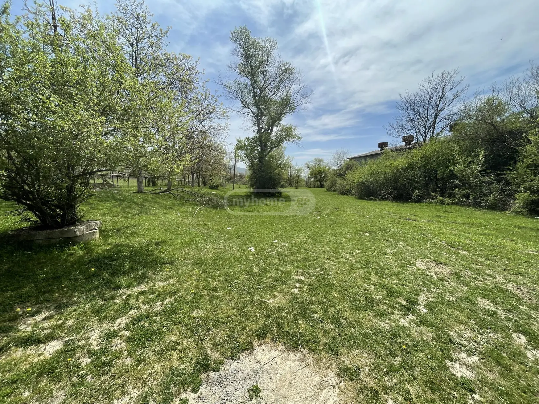 For Sale Ara Sasoplo-Sameurneo Land Plot Dushetis Munitsipalitetshi view 7