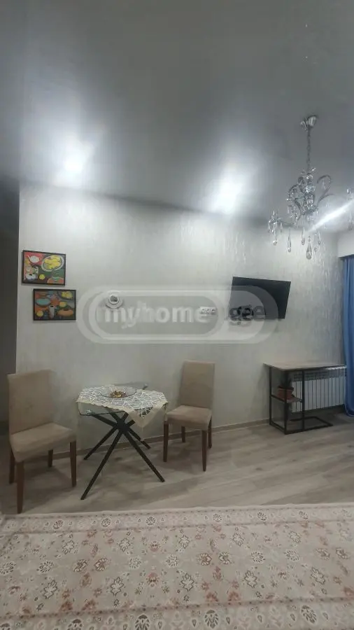 2 Room Flat Daily Rent. Didi Digomi view 8