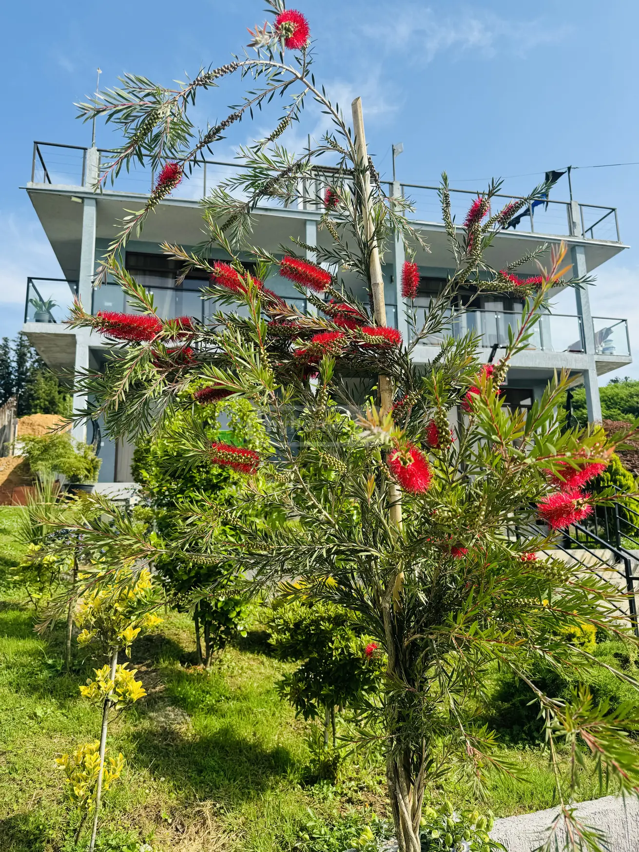 Daily Rent 3 Room Private House Kobuletis Munitsipalitetshi view 15