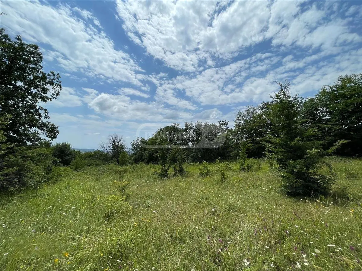 For Sale Sasoplo-Sameurneo Land Plot Tetritsqaros Raionshi view 2