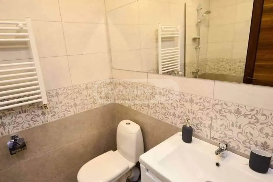 Daily Rent 2 Room Sastumro Bakurianshi, 6 of 8