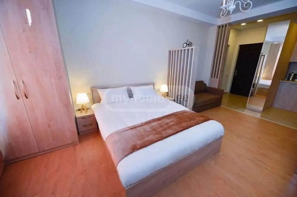 For Sale 1 Room Sastumro Bakurianshi, 5 of 7