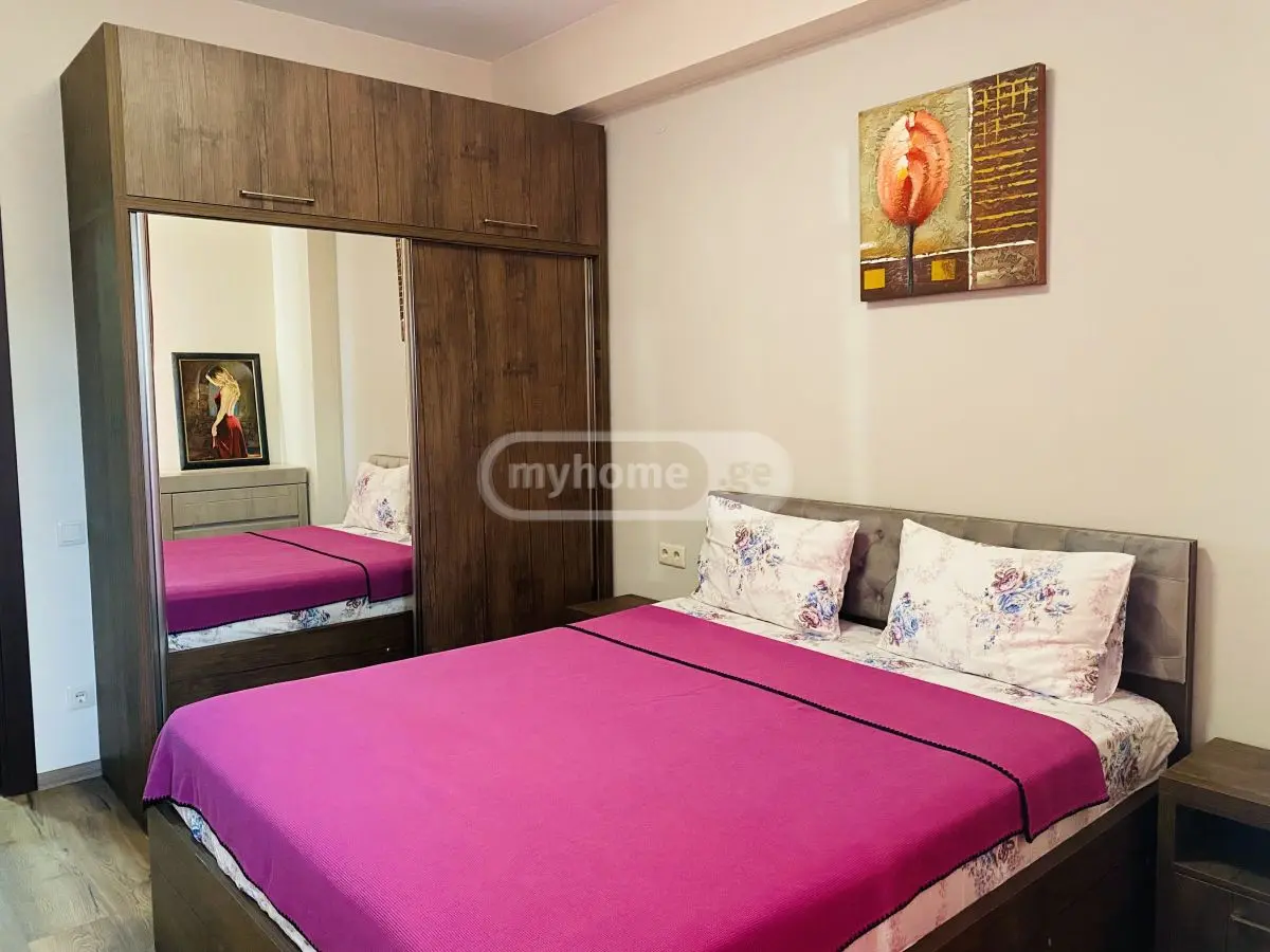 2 Room Flat Daily Rent. Saburtalo view 16