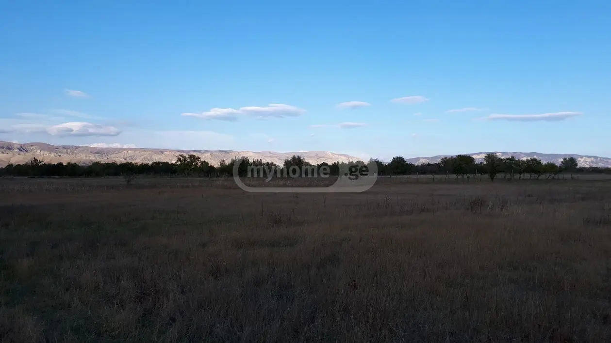 იყიდება მიწა / ნაკვეთი Kaspis Munitsipalitetshiში view 1