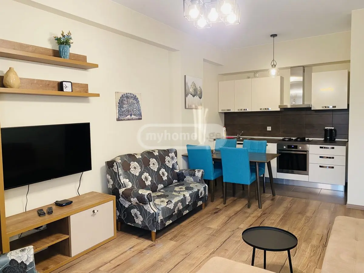 2 Room Flat Daily Rent. Saburtalo view 22