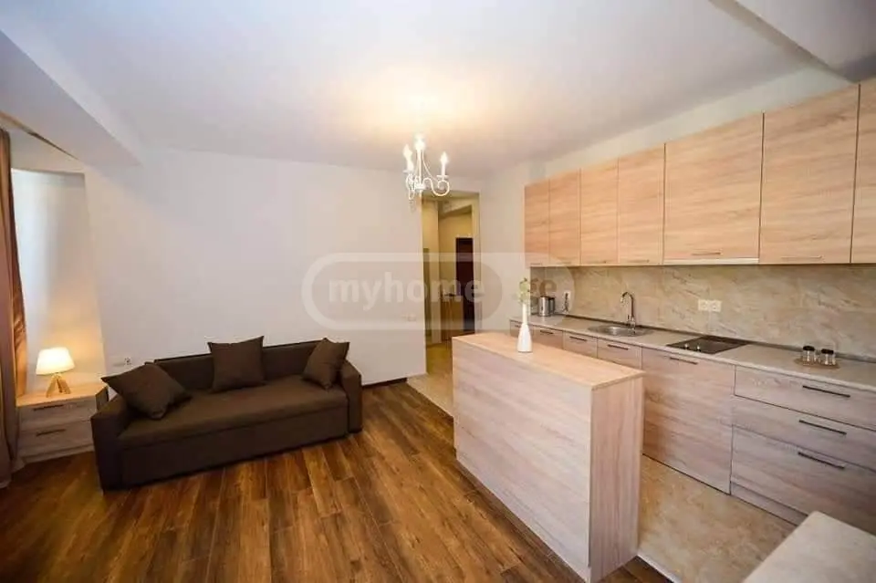Daily Rent 2 Room Sastumro Bakurianshi, 3 of 8