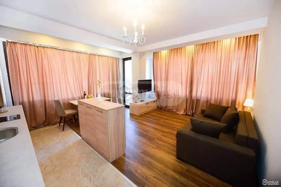 Daily Rent 2 Room Sastumro Bakurianshi, 1 of 8