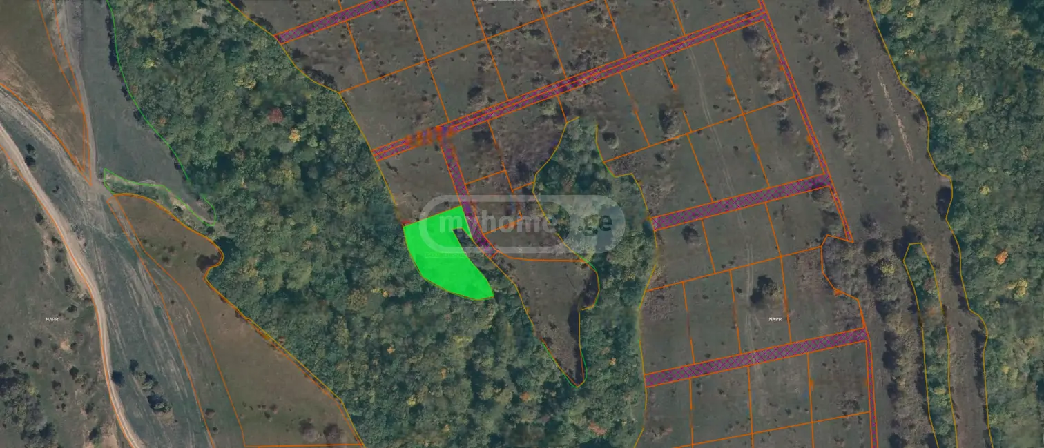 For Sale Sasoplo-Sameurneo Land Plot Tetritsqaros Raionshi view 5