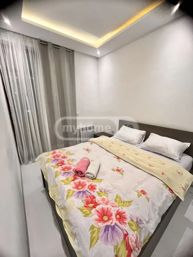 Daily Rent 2 Room Apartment view 9