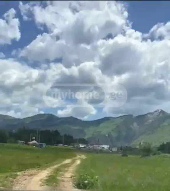 For Sale Sasoplo-Sameurneo Land Plot Gudaurshi view 4