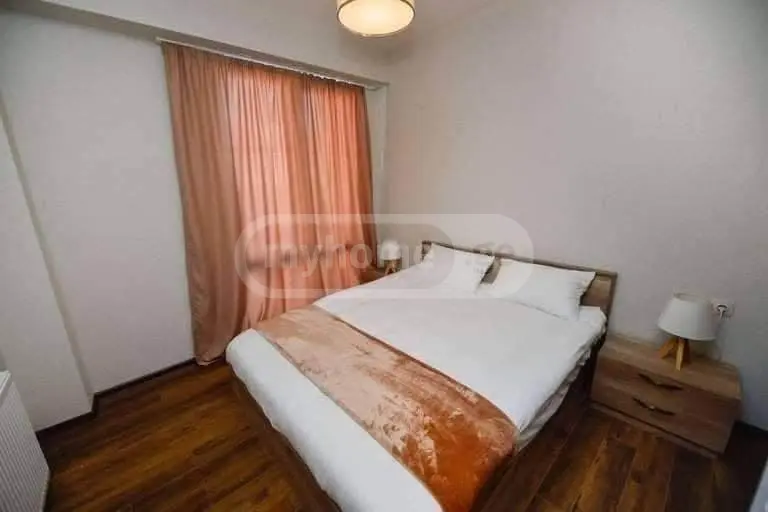 Daily Rent 2 Room Sastumro Bakurianshi, 5 of 8