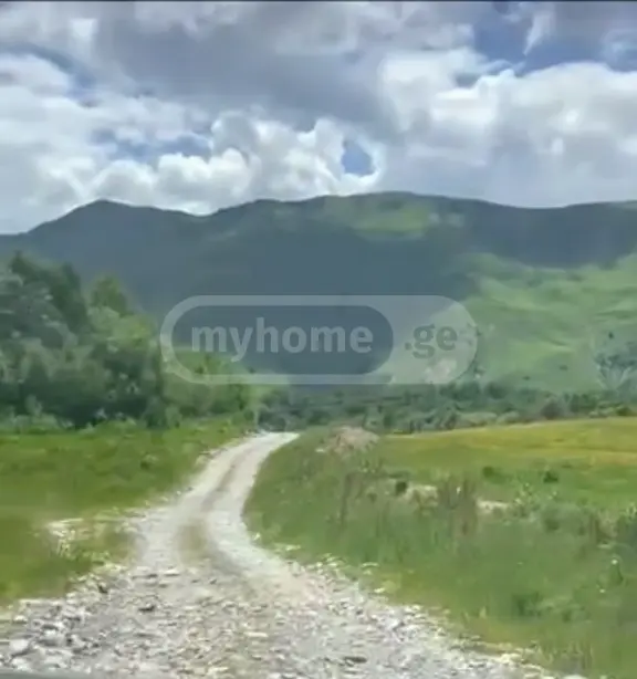 For Sale Sasoplo-Sameurneo Land Plot Gudaurshi view 2