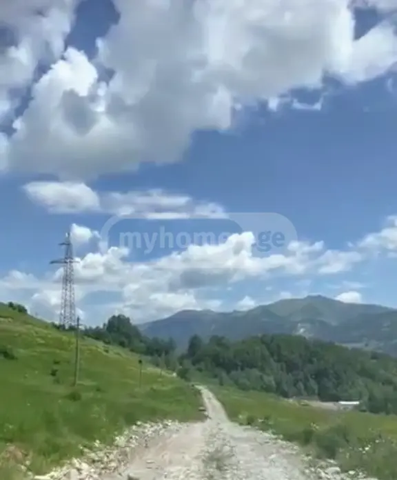 For Sale Sasoplo-Sameurneo Land Plot Gudaurshi view 5