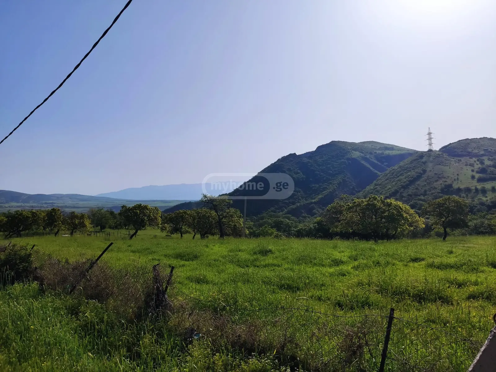 For Sale Sasoplo-Sameurneo Land Plot Mtskhetis Munitsipalitetshi view 4