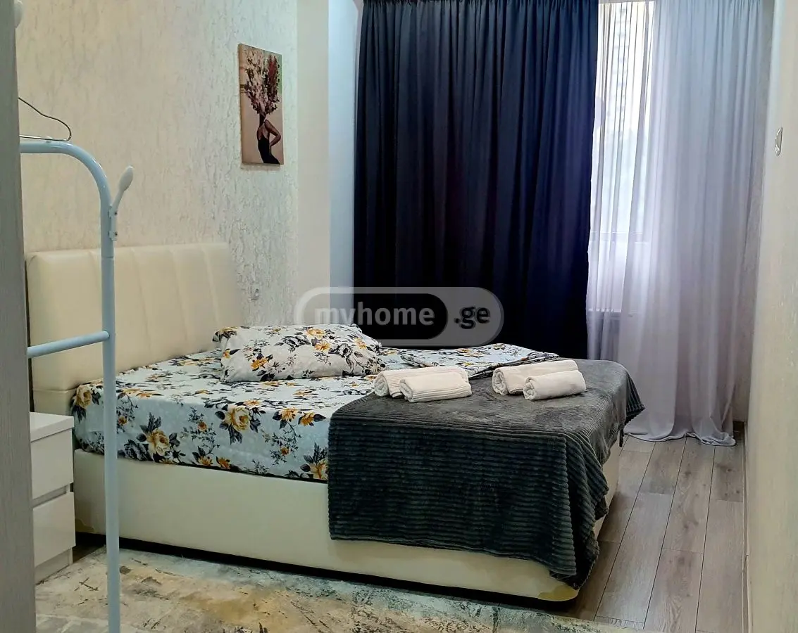 2 Room Flat Daily Rent. Didi Digomi view 11