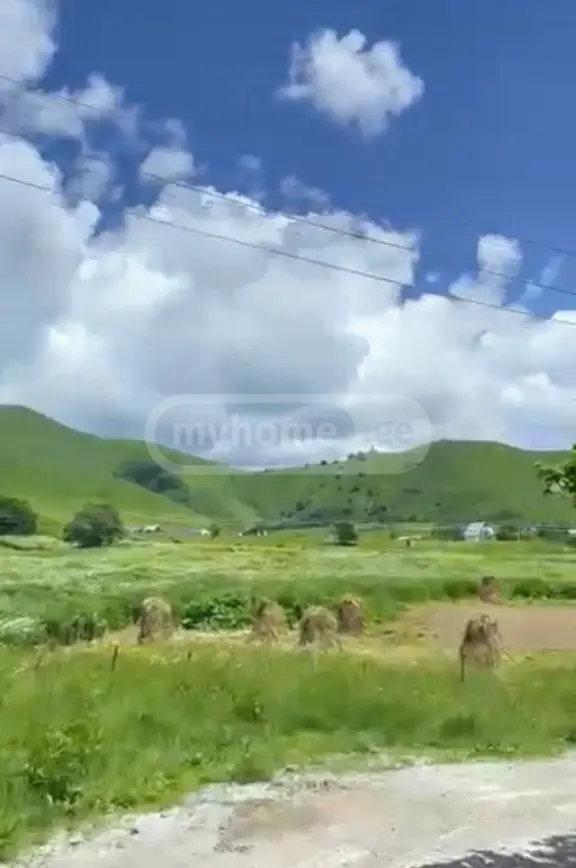 For Sale Sasoplo-Sameurneo Land Plot Gudaurshi view 7