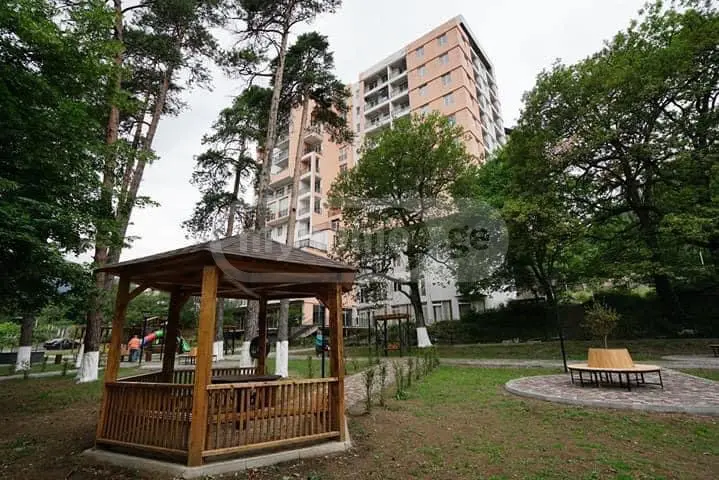 For Rent Saopise Commercial Space Borjomshi view 1