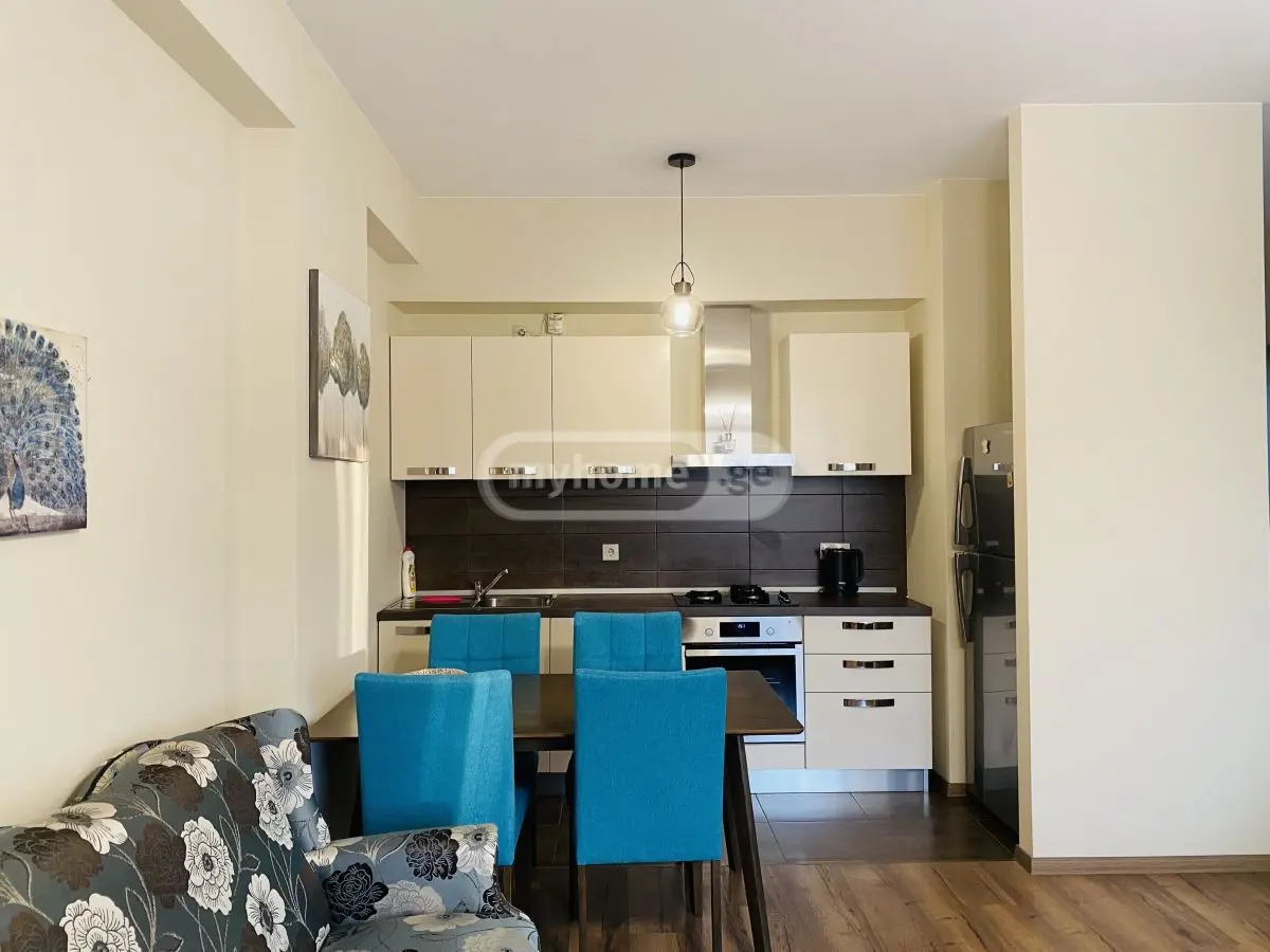 2 Room Flat Daily Rent. Saburtalo view 21