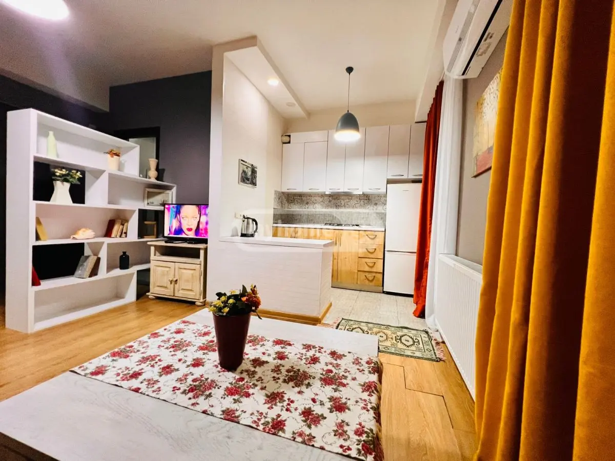 2 Room Flat Daily Rent. Saburtalo view 24