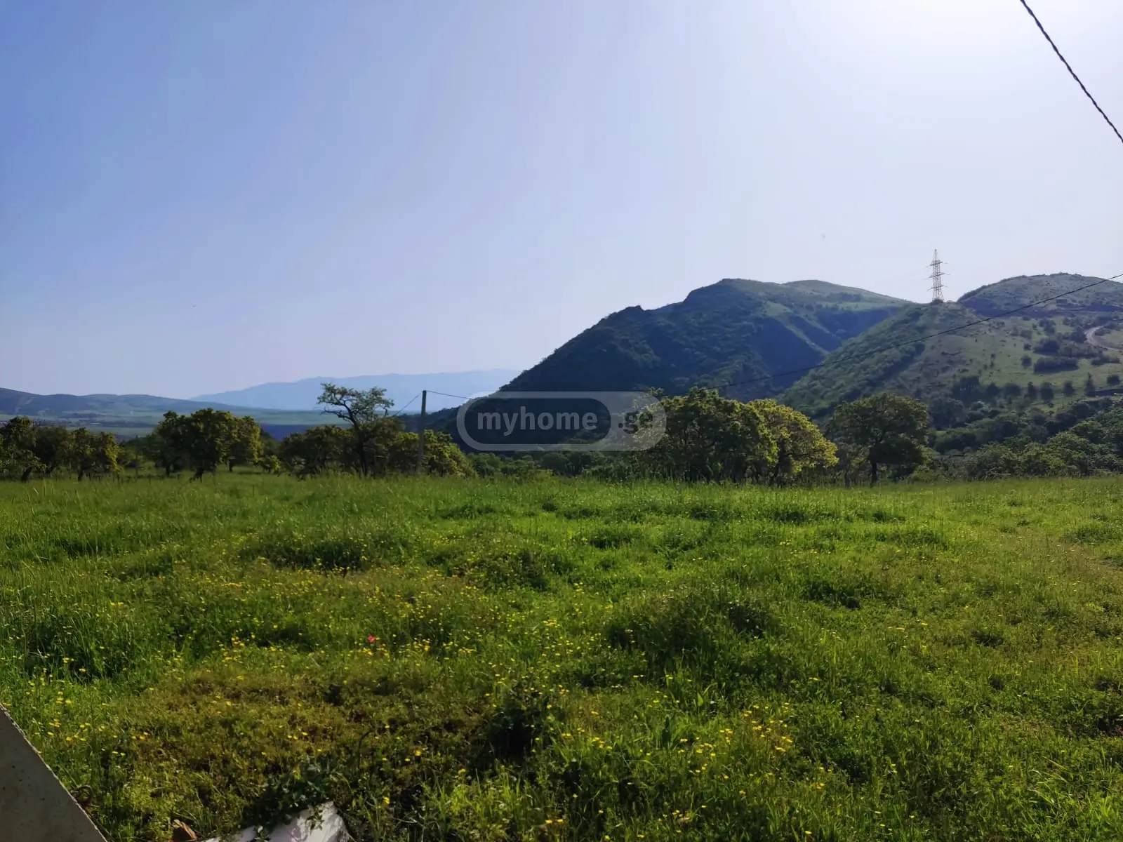 For Sale Sasoplo-Sameurneo Land Plot Mtskhetis Munitsipalitetshi view 1